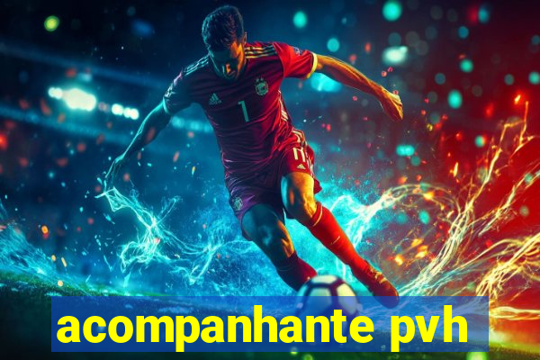 acompanhante pvh